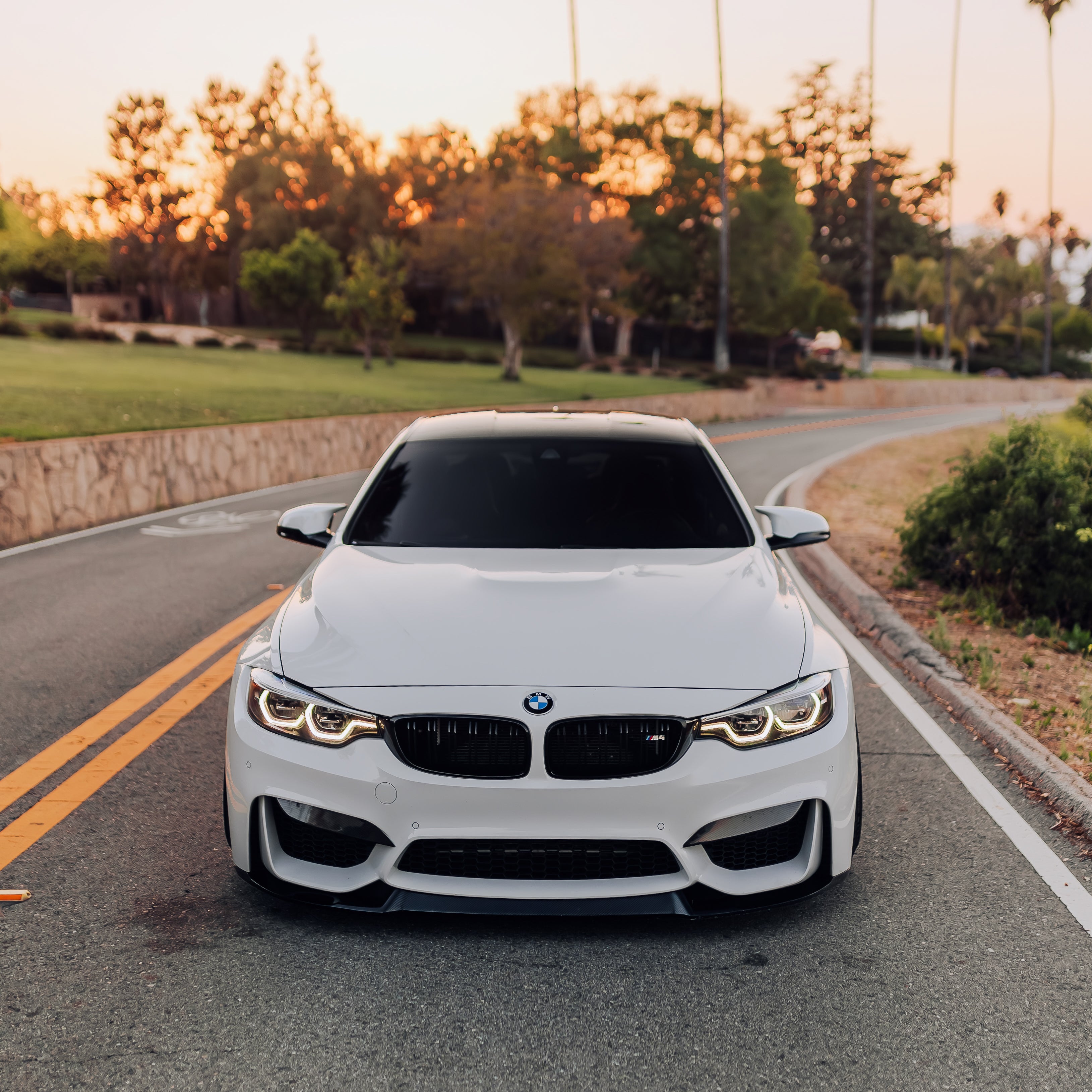 White DRL Modules F8X M3/M4