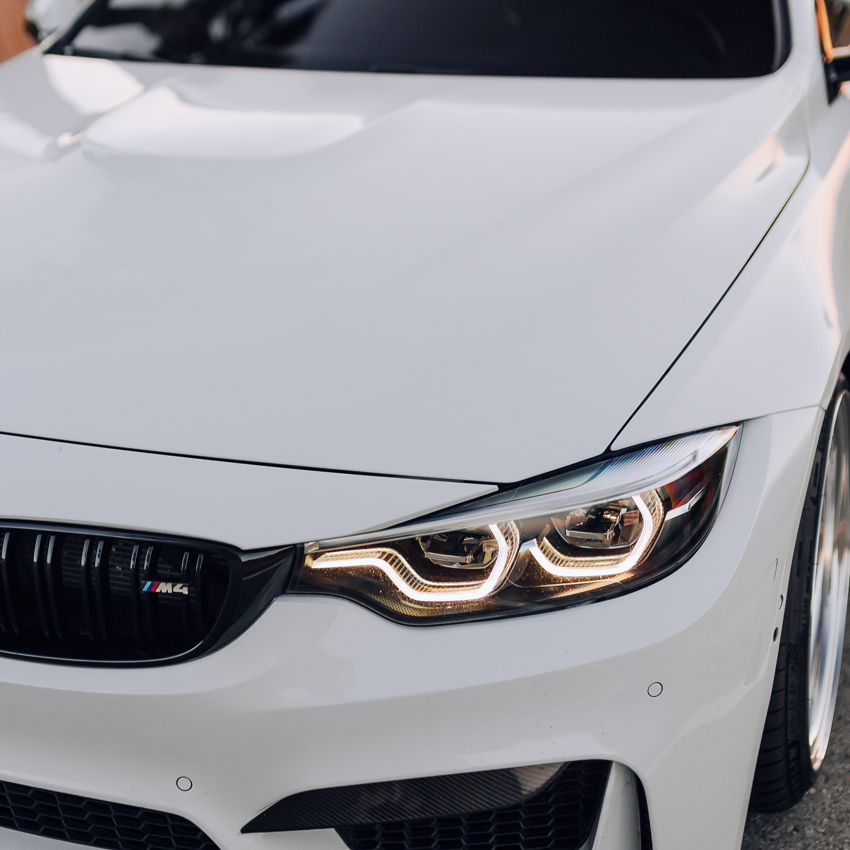 White DRL Modules F8X M3/M4