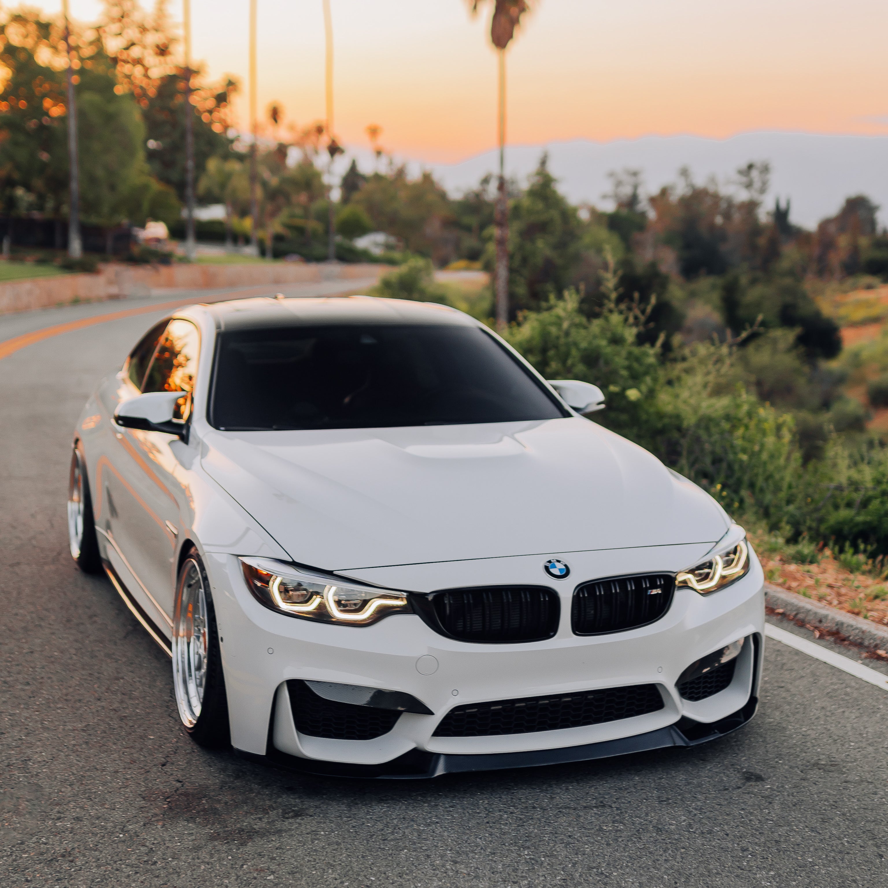 White DRL Modules F8X M3/M4