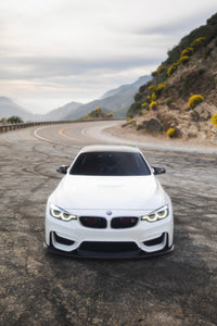 Laptor Style Carbon Fiber Front Lip F8X M3/M4