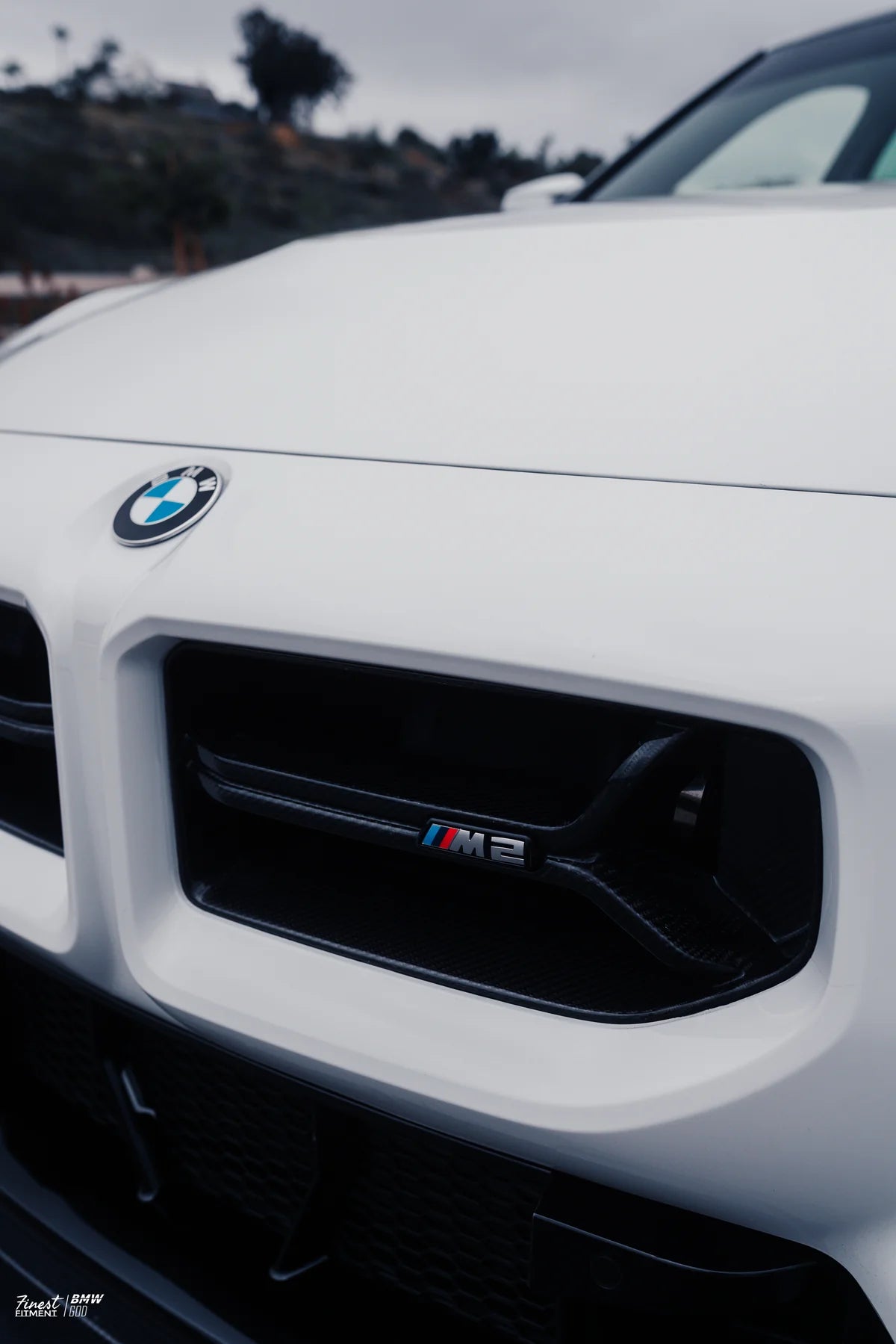G87 M2 CSL Style Carbon Fiber Front Grille