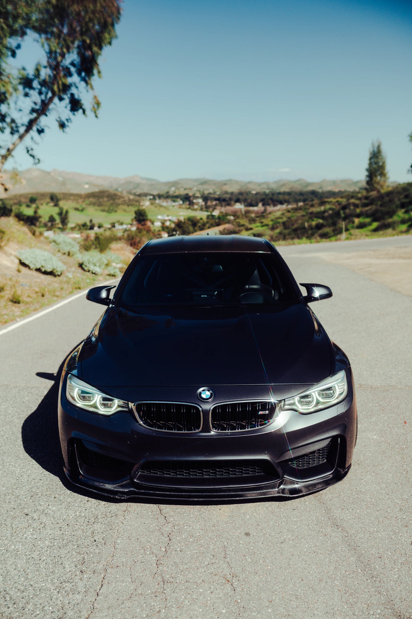 V style Carbon Fiber Front Lip F8X M3/M4