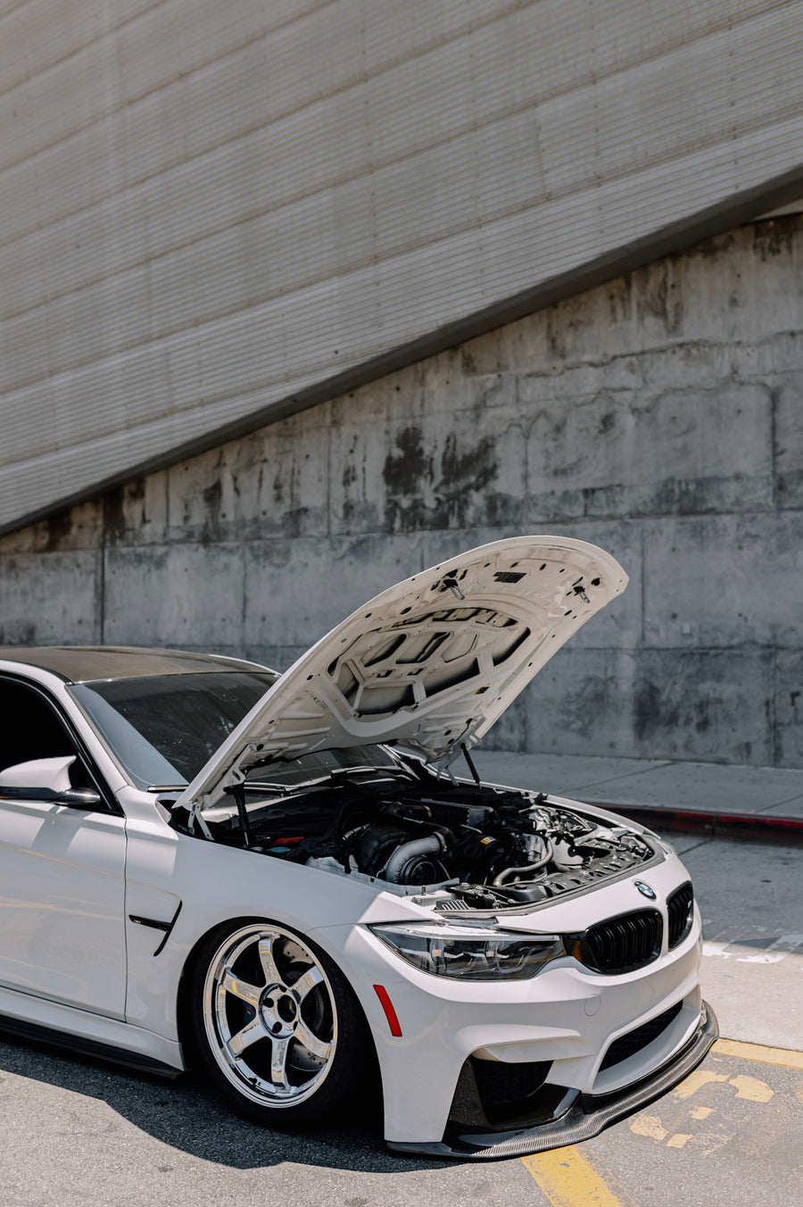 Cane's ST F80 M3