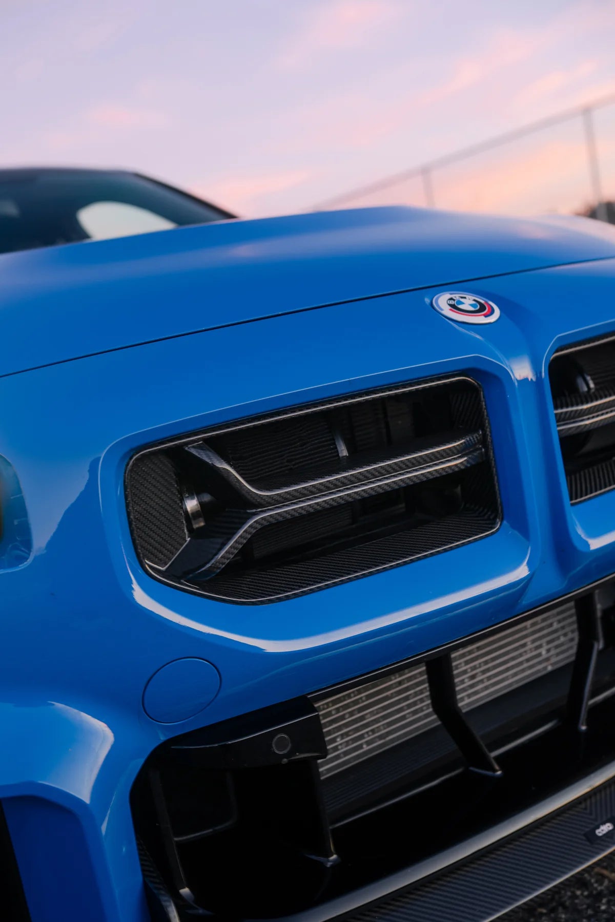 G87 M2 CSL Style Carbon Fiber Front Grille
