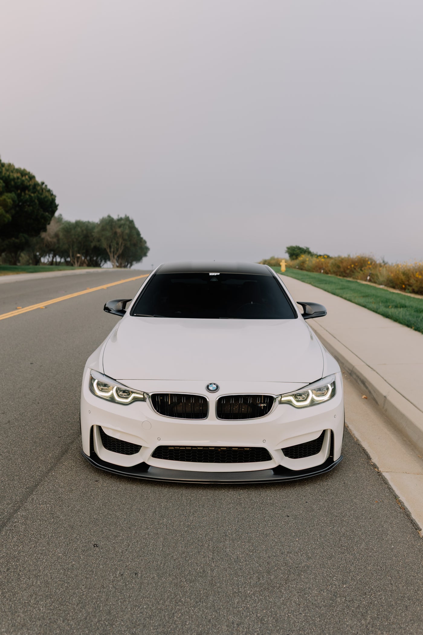 J style Carbon Fiber Front Lip F8X M3/M4