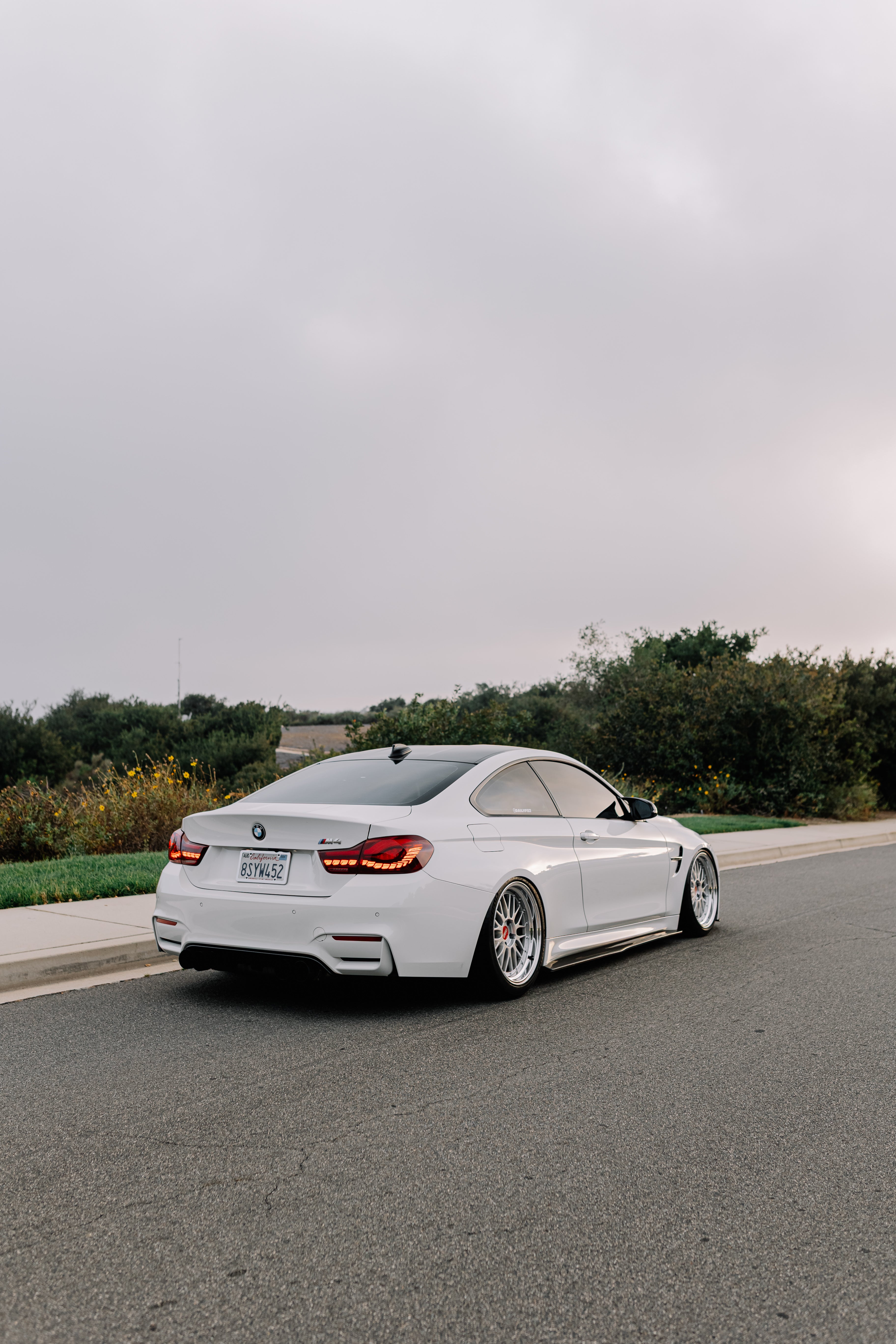 PSM Carbon Fiber Side Skirt Extensions F82 M4